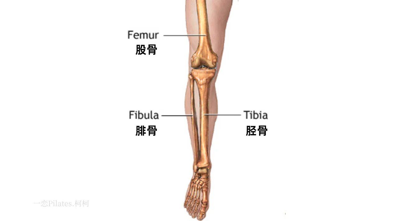 纠正外八字