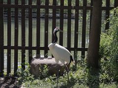 -上方山森林动物世界