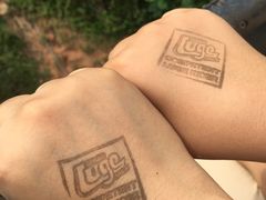 -圣淘沙天际线斜坡滑车