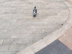 -中粮·祥云小镇