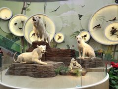 -陕西自然博物馆