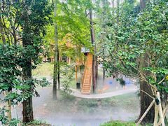 -东明山森林公园