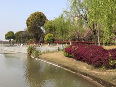 -南翔镇银翔湖公园
