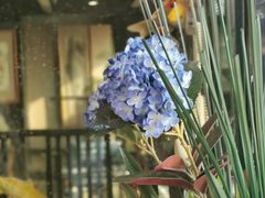 -浩运·海鲜青岛菜·海胆水饺(石老人店)