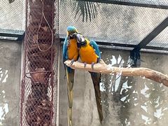 -大连森林动物园