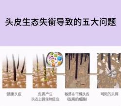 -天其美科学美肤·生发健康管理