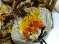 -蟹道河蟹大米商行