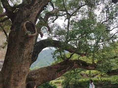 -上坦村