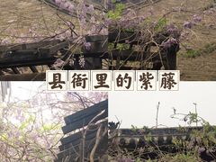 -榆次老城