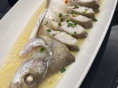 清蒸白条-王元兴酒楼(杭帮菜名店)