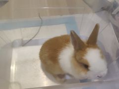 -雨林宠物医院 非犬猫异宠专科