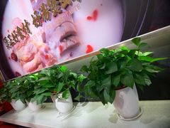 -好彩猪肚鸡(正弘城店)