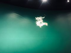 -成都百丽宫影城(LUXE太古里店)