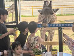 -西霞口神雕山野生动物世界