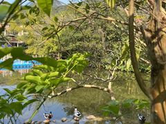 -广州锦绣香江度假别墅