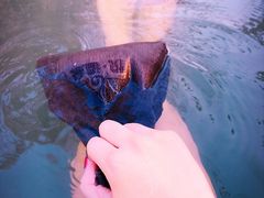 -思念果岭悦温泉