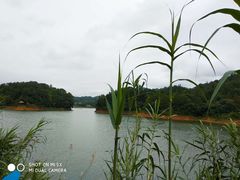 -千岛湖龙川湾