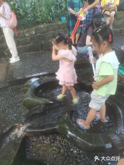 成都市活水公园图片