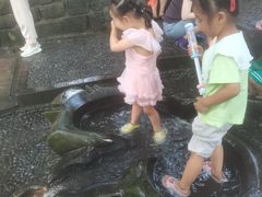 -成都市活水公园