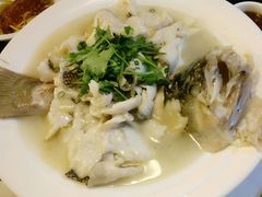 -OLD TREE老树咖啡·西餐厅(台山人工湖店)