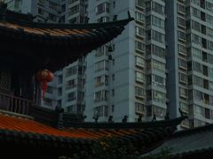 -真庆观