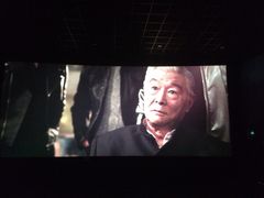 耀莱成龙国际影城(合肥店)-华联影城(蒙城路店)