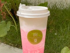 -树夏(建设路店)