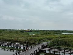 -宁波杭州湾国家湿地公园