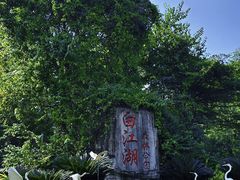 -广州白江湖森林公园