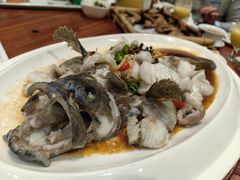 -顺德了能馆(虎门店)