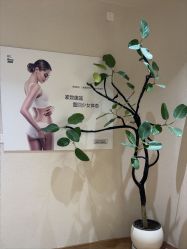 -美丽妈妈产后恢复中心(南桥旗舰店)
