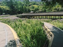 -龙头寺公园