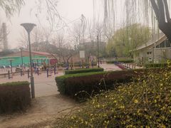 -康庄公园