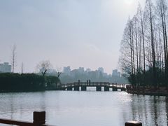 -黄兴公园