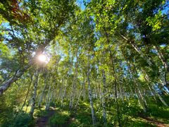 -塞罕坝国家级自然保护区