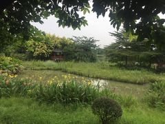 -海珠湖公园