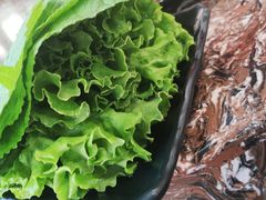 时蔬拼盘-啊美丽炭火烤肉(滑翔一店)