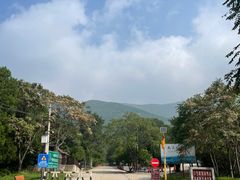 -北京十三陵国家森林公园蟒山景区