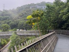 -福道