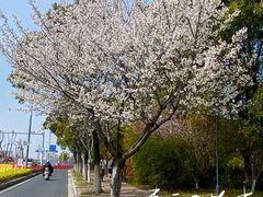 -苏州市相城人民医院