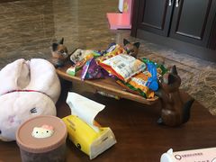 -宠爱国际动物医院·消化内科·心肾内科·ISFM猫友好(望京店)