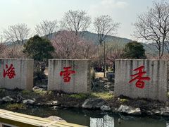 -香雪海