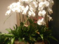 -春暖花开(西溪店)