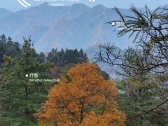 -秦岭天竺山生态文化旅游景区