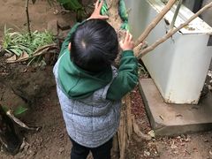 -呀路古热带植物园