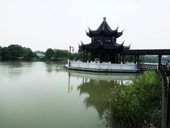 -八大山人梅湖景区
