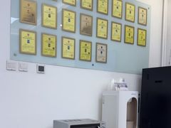 -北京观赏动物医院·24小时大型综合·猫专科·异宠专科