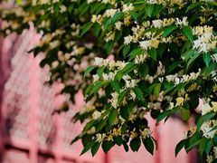 -大钟寺古钟博物馆