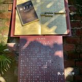 在黄葛古道邂逅久违的秋日暖阳