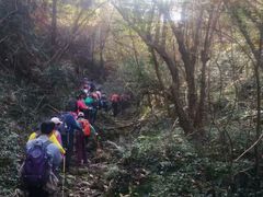 -素山寺森林公园